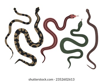 Vector hand-drawn color Snake collection big set. Tot view illustration of snakes isolated on a white background