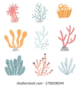 Vector hand-drawn colored childish  simple flat set with algae and corral in Scandinavian style on a white background. Seaweed. Set for children with corral.Sea ocean. Underwater plants