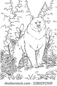 Vector hand-drawn contour illustration of a wild bear against the background of nature. Coloring page with an animal in the forest.