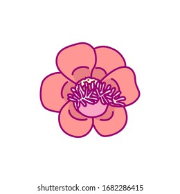 vector handdrawn cute plant clip art exotic flower