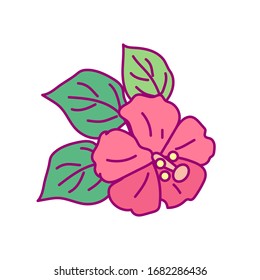 vector handdrawn cute plant clip art exotic flower
