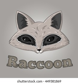Vector hand-drawn cute raccoon muzzles. Faces nice raccoon with the words and the inscription
