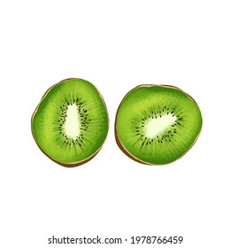 Vector hand-drawn detailed kiwi slices. Vector tropical fruit clipart for any design purposes