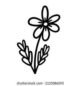 Vector hand-drawn doodle Flower on a stem with leaves. Floral decorative element for design. Logo, Icon, Sticker, Sketch, Tattoo.