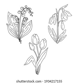 Vektor handgezeichnet doodle Frühlingsblumen Elemente auf weißem Hintergrund. Design der Postkarten, Etiketten, Dekoration.