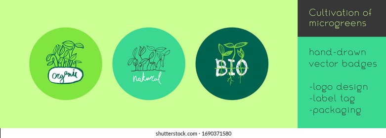 Emblema vectorial hecho a mano para el logo agrícola con concepto hidropónico. Emblema ecológico con hoja de cultivo para la etiqueta de plantas para bebés. Icono de crecimiento con microvegetales para bioempresa y cultivo doméstico.