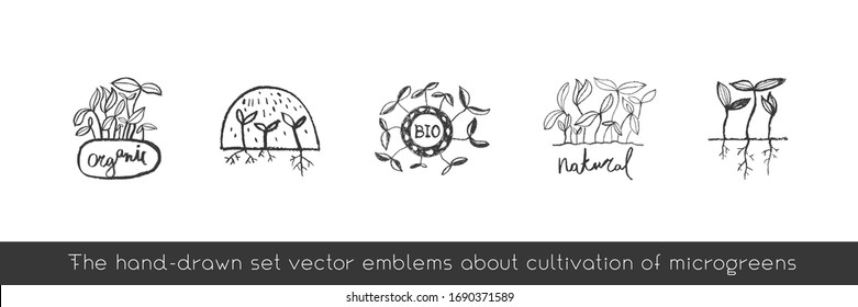 Vector hand-drawn emblem for agricultural logo with  hydroponic concept. Eco emblem with growing leaf for label of baby plants. Growth icon with microgreens for bio company and home cultivating.