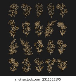 Vector hand-drawn floral element collection. Realistic sketch pencil texture botanic flowers. Vector floral outline element. Elegant gold botanical design set.
