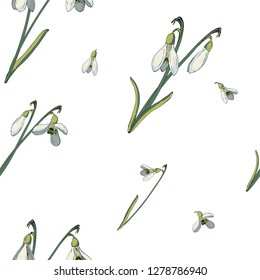 Vector hand-drawn floral pattern with snowdrops. Endless texture for your design