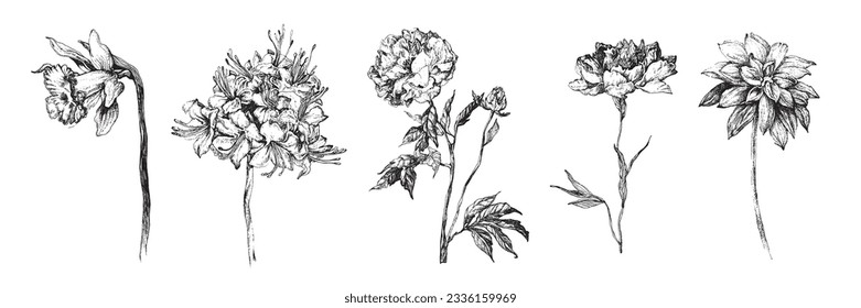 handgezeichnete Vektorgrafik-Blumentöpfe, Sammlung von Blumenmustern