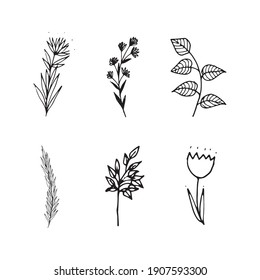 Vector. Hand-drawn flowers and leaves.
