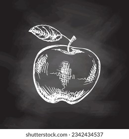 Vector hand-drawn fruit Illustration. Detailed retro style apple sketch on chalkboard background. Vintage sketch element. 
