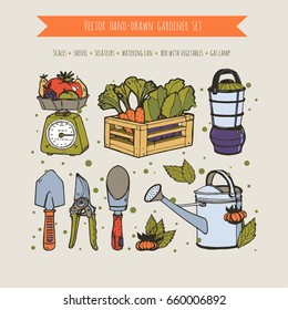 Vector hand-drawn gardener set. Scales with vegetables, a box with carrots and beets, a gas lantern, a watering can, shovels, a secateurs