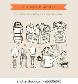 Vector hand-drawn gardener set. Scales with vegetables, a box with carrots and beets, a gas lantern, a watering can, shovels, a secateurs