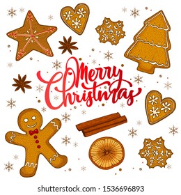 Vector hand-drawn ginger cookie and spice, holiday season mood. Christmas collection, lettering. Cute holiday bakery isolated on a white background