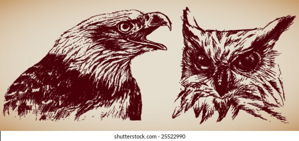 VECTOR Hand-drawn, grungy Eagle and Owl.