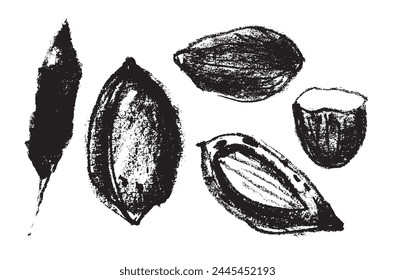 Vector hand-drawn illustration almonds. Black charcoal drawing of almond nut for marzipan paste label design or almond butter packaging. Botanical sketch for ketogenic diet banner.