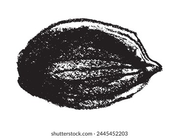 Vector dibujado a mano ilustración de almendras. Dibujo de carbón negro de nuez de almendra para el diseño de etiqueta de pasta de mazapán o envasado de mantequilla de almendra. Boceto botánico para el Anuncio de la dieta cetogénica.