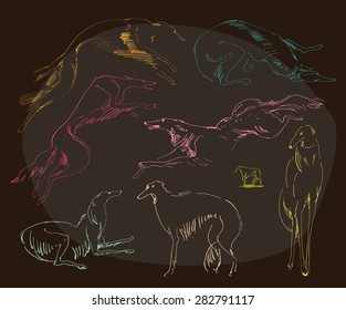 Vector hand-drawn illustration of Barsoi Saluki dogs running, jumping, standing. sitting, lying, sleeping. Vintage art. Ink on paper.