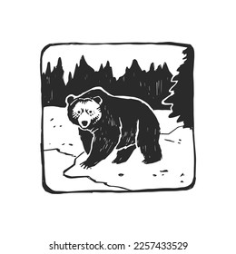 Vector hand-drawn illustration of a bear in nature. A framed sketch with a wild forest animal.