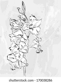 vector hand-drawn illustration of beautiful  flower.