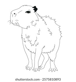 Vector hand-drawn illustration of a capybara in the style of engraving. A sketch of a wild Brazilian animal isolated on a white background. Fauna of South America.