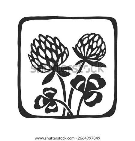 Vector hand-drawn illustration of clover flowers. Black and white sketch of a shamrock.
