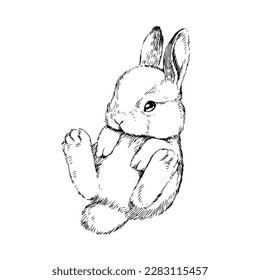 Vector hand-drawn illustration with a cute rabbit isolated on a white background. Sketch of a bunny in the style of engraving.