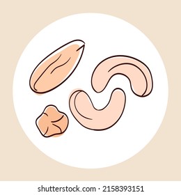 Vector hand-drawn illustration of different nuts