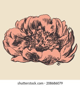 Vector hand-drawn illustration with flower