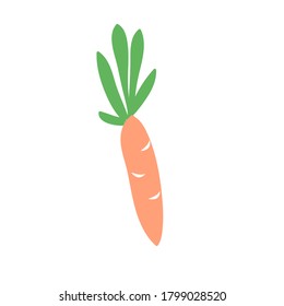 Vector handdrawn illustration of fresh organic vegetables for vegans. Eco farm autumn harvest. Fresh healthy farm product for grocery. Carrot isolated on white background. 