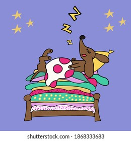 Vector handdrawn illustration of funny cartoon dachshund dog sleeping under warm blanket on pile of colorful mattresses on bed. Stars shining around symbolizing middle of magical night