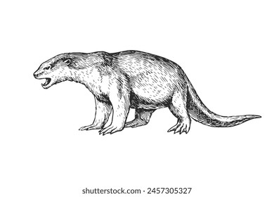 Vector hand-drawn illustration of a Giant Otter in the style of engraving. A sketch of a wild Brazilian animal isolated on a white background. Fauna of South America.