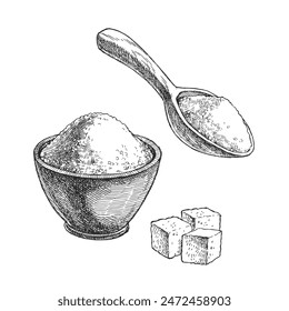 Vector hand-drawn illustration of a granulated and cube sugar in engraving style. Sketch with spices in a cup and spoon for recipe design.