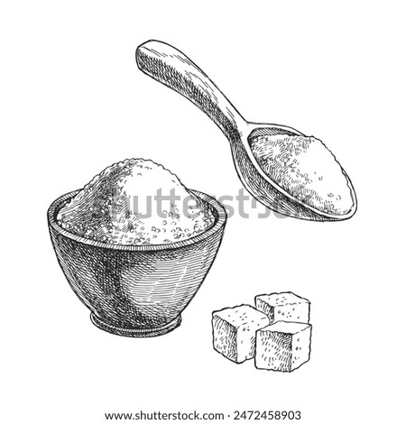 Vector hand-drawn illustration of a granulated and cube sugar in engraving style. Sketch with spices in a cup and spoon for recipe design.