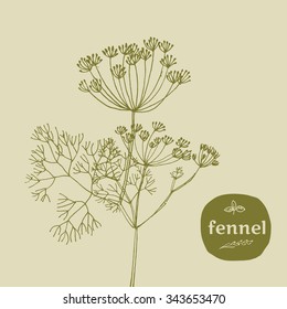 vector hand-drawn illustration of grass used in french cuisine. food seasoning vector illustration in retro style. natural organic herb for franch cuisine. eco condiment.
