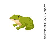 Vector hand-drawn illustration of green frog. Sketch of a water animal.