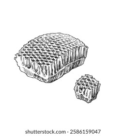 Ilustração de vetor desenhada à mão de favo de mel. Esboço preto e branco de favo de mel. Apicultura.
