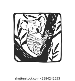 Vektorhandgezeichnete Illustration eines Koala in der Natur. Eine gerahmte Skizze mit einem wilden australischen Tier.