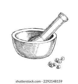 Vector hand-drawn illustration of a mortar and pestle for spices in the style of engraving. Sketch of pepper peas and grinding tools.