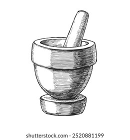 Vector hand-drawn illustration of a mortar and pestle for spices and herbs in the style of engraving.