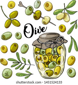 Vector hand-drawn illustration of olives and olives conserve. Isolated objects on white background.