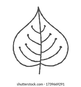 Vector hand-drawn illustration of a plant leaf in the Doodle style. An empty outline isolated on a white background. Simple design for scrapbooking, coloring books, and theme design.