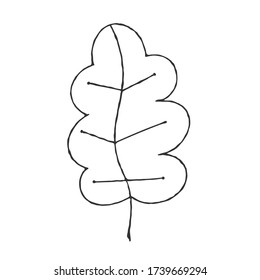 Vector hand-drawn illustration of a plant leaf in the Doodle style. An empty outline isolated on a white background. Simple design for scrapbooking, coloring books, and theme design.
