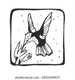 Vector hand-drawn illustration of a Rubin-Topaz Hummingbird with flower. A stamp with a wild Brazilian bird in the style of a sketch.