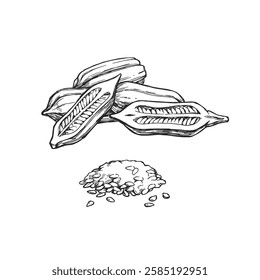 Vector hand-drawn illustration of sesame capsules with seeds. Black and white sketch of plant details.
