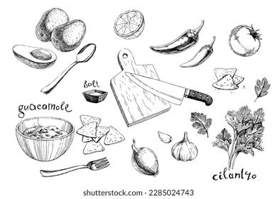 Vector hand-drawn illustration of a set of ingredients for guacamole, isolated on a white background. A recipe of guac in sketch style. Avocado, tomato pepper, spices and cooking appliances.