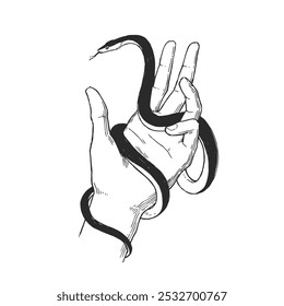 Vector hand-drawn illustration of snake on hand in engraving style. Sketch with witch's pet isolated on white.