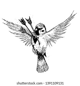vector handdrawn illustration of sparrow bird with arrows in heart.black and white isolated image