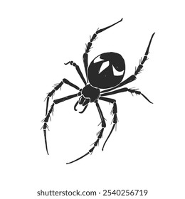 Vector hand-drawn illustration of spider isolated on white. Black and white sketch with witch symbol.